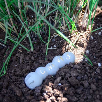 DIY Cement Garden Markers- from ice cube trays!
