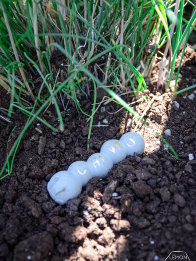 DIY Cement Garden Markers- from ice cube trays!