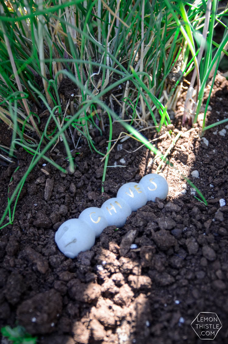 DIY Cement Garden Markers- from ice cube trays!