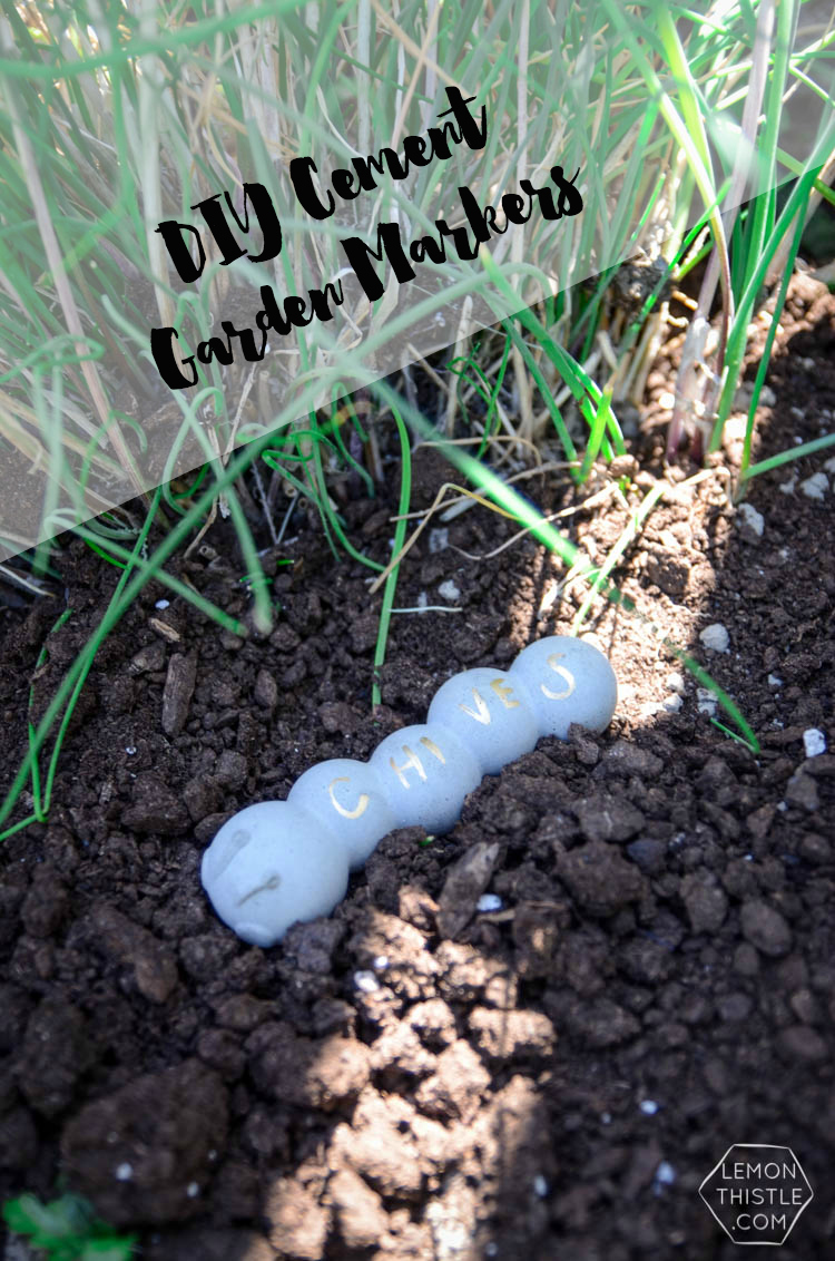 DIY Cement Garden Markers- from ice cube trays!