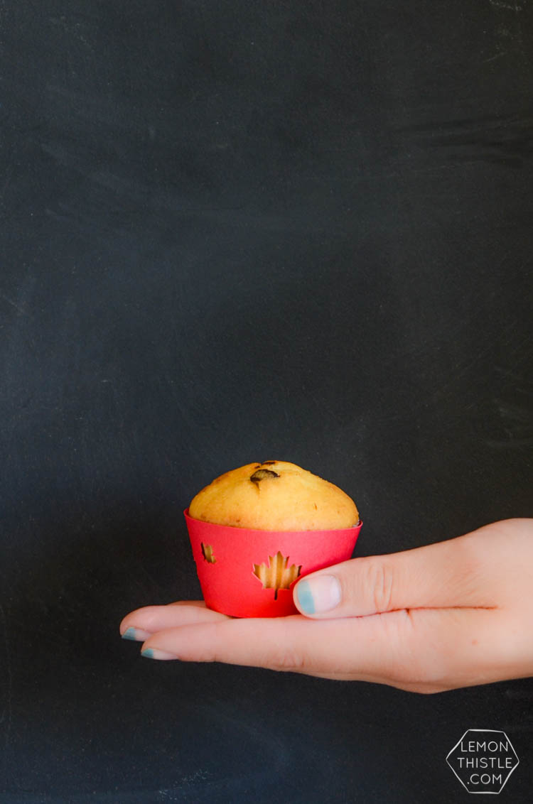 DIY Canada Day Ice Cream and Cupcake Wraps- free template!