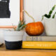 DIY Ombre Glitter Mini Pumpkins