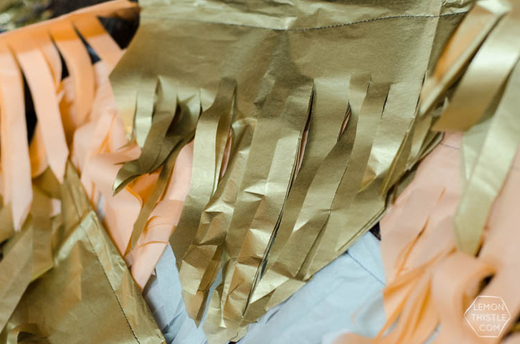 Instax Photo Booth- Dream On Conference (with fringe backdrop)