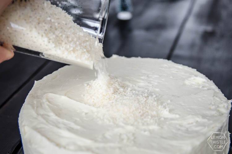 DIY Winter Scene Cake Makeover- perfect for the holidays!