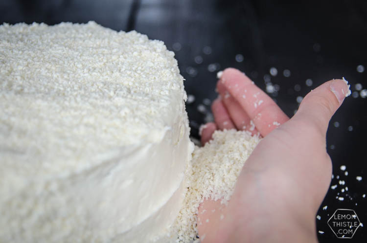 DIY Winter Scene Cake Makeover- perfect for the holidays!