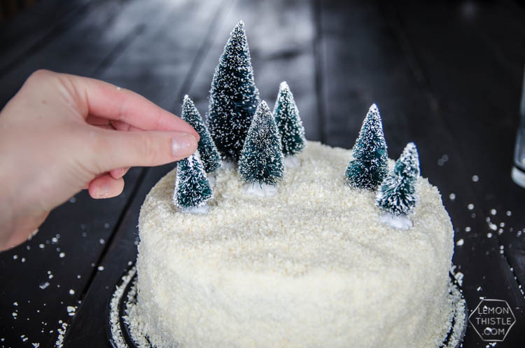 DIY Winter Scene Cake Makeover- perfect for the holidays!