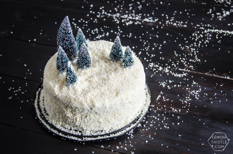 DIY Winter Scene Cake Makeover- perfect for the holidays!