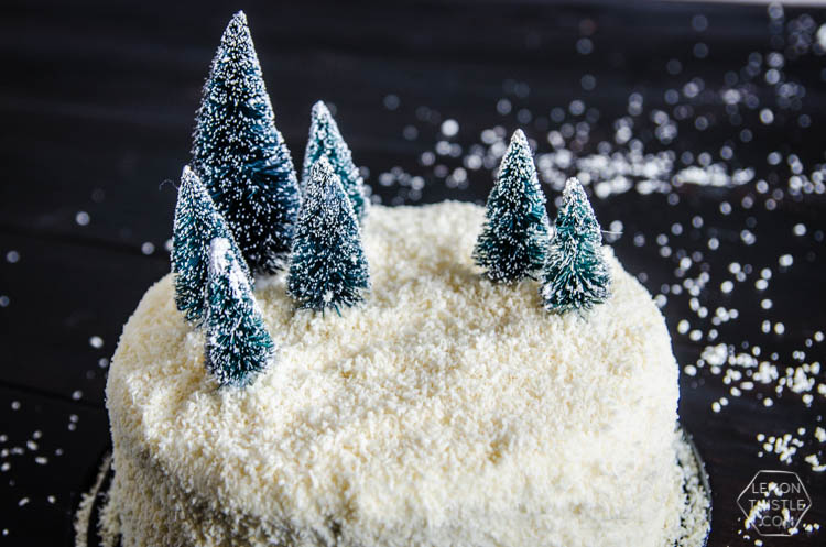 DIY Winter Scene Cake Makeover- perfect for the holidays!