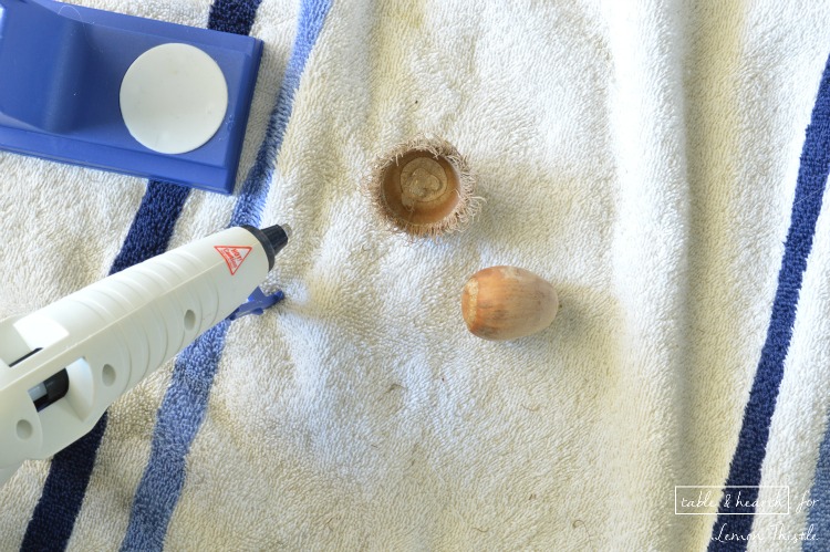 DIY Acorn Shadowbox- gorgeous natural decor!