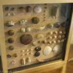 DIY BEACH SEABEAN SHADOWBOX