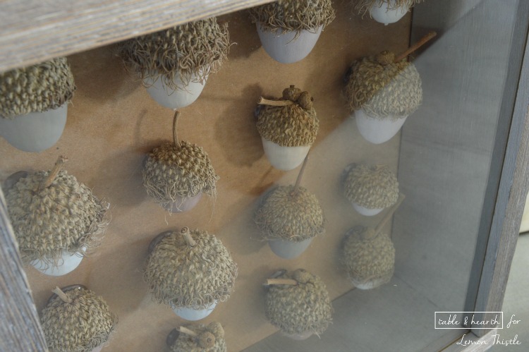 DIY Acorn Shadowbox- gorgeous natural decor!