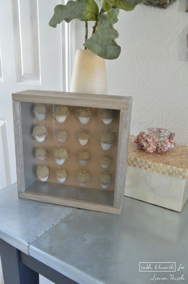 DIY Acorn Shadowbox- gorgeous natural decor!