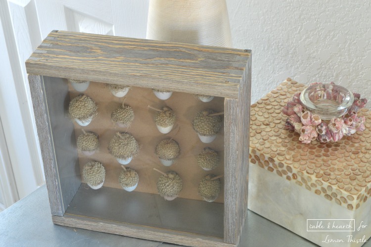DIY Acorn Shadowbox- gorgeous natural decor!