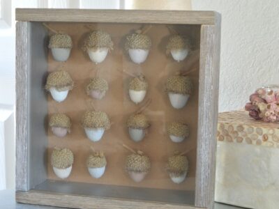 DIY Acorn Shadowbox- gorgeous natural decor!