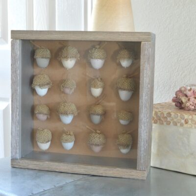 DIY Acorn Shadowbox- gorgeous natural decor!