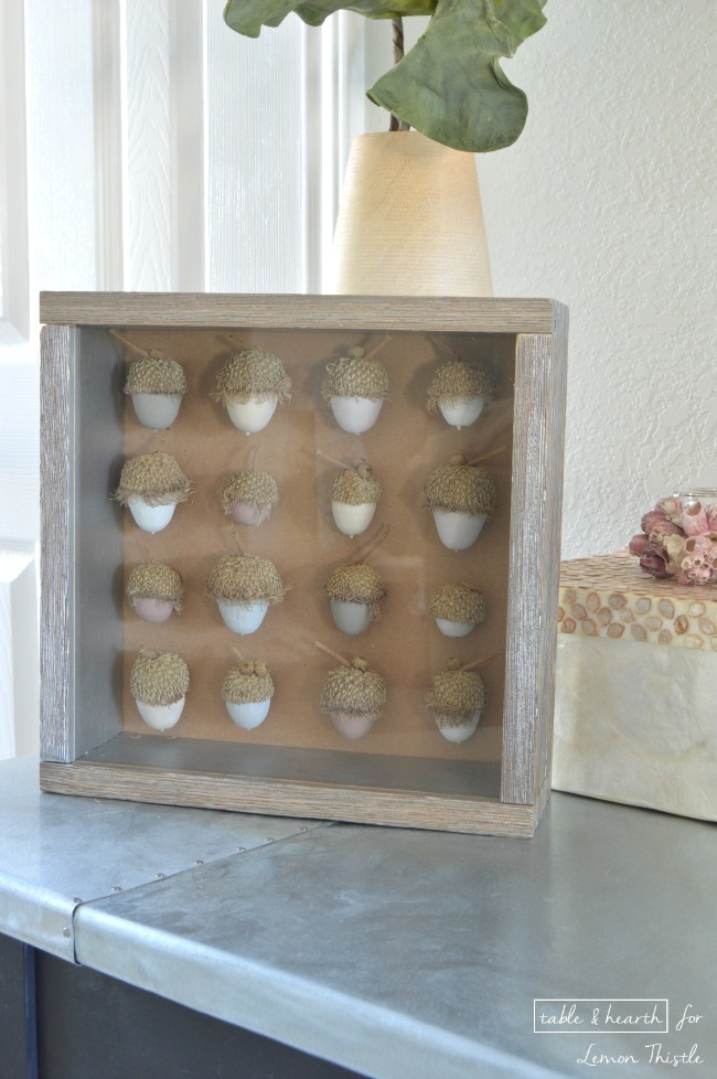 DIY Acorn Shadowbox- gorgeous natural decor!