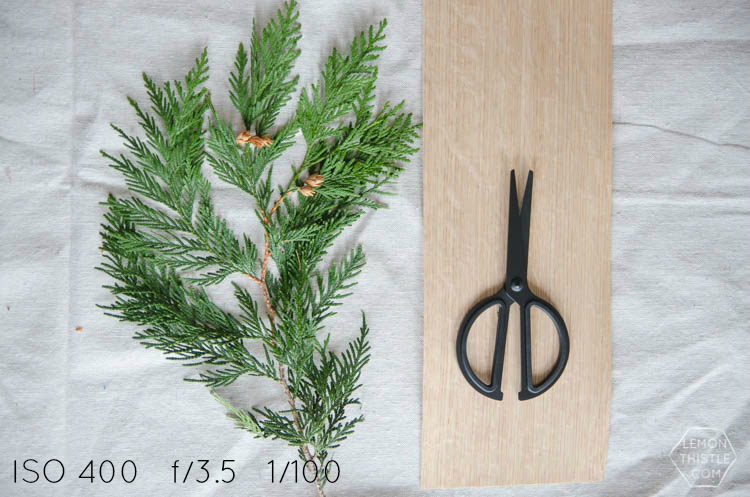 blog photography in manual mode- the settings and rules I stick to