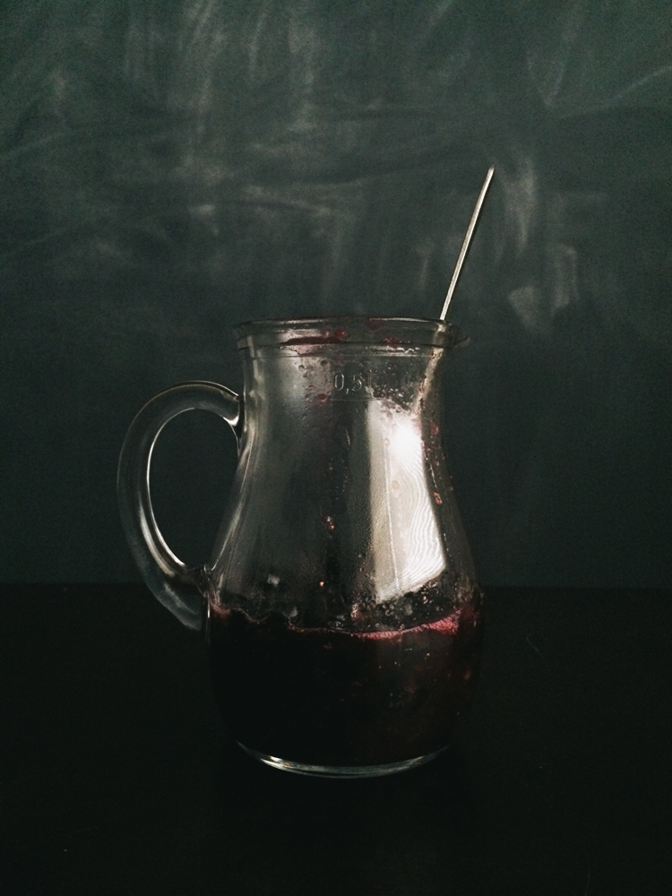 Vanilla Panna Cotta with Blueberry Sauce