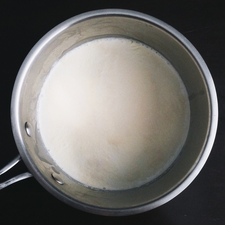 Vanilla Panna Cotta with Blueberry Sauce