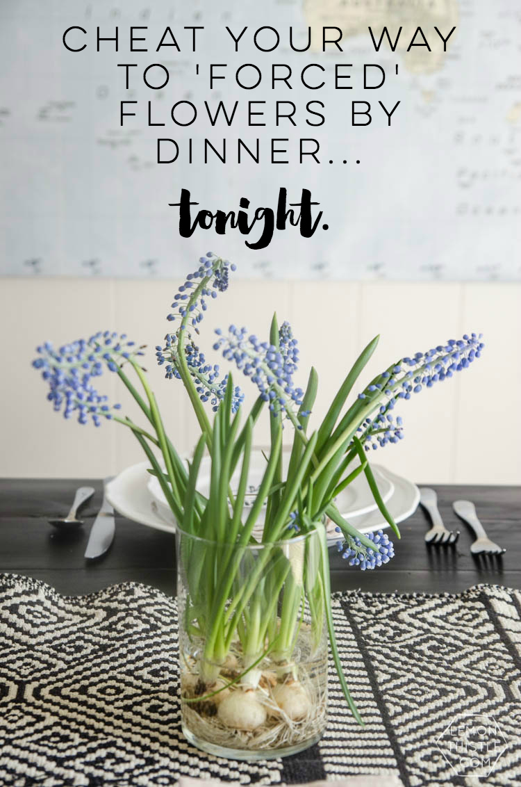 A Last Minute (seriously!) Tablescape- perfect for Easter. Complete with cheater forced flowers and free printable placecards!