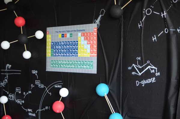 DIY a fun science themed grad party- this is SO much fun! I love that backdrop