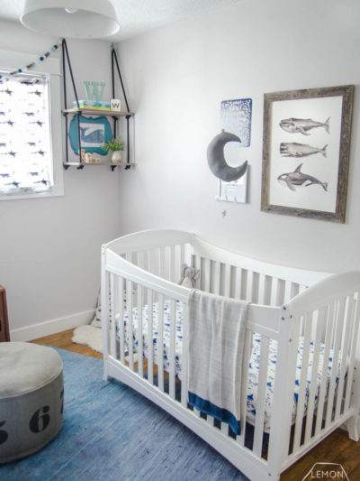 Whale nursery