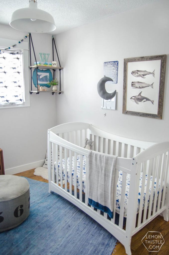 Whale nursery