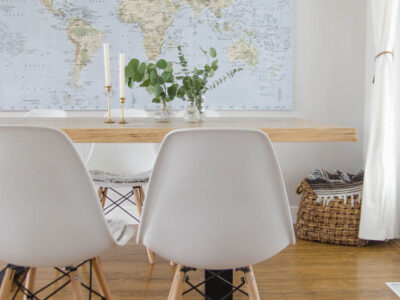 Eucalyptus for home decor