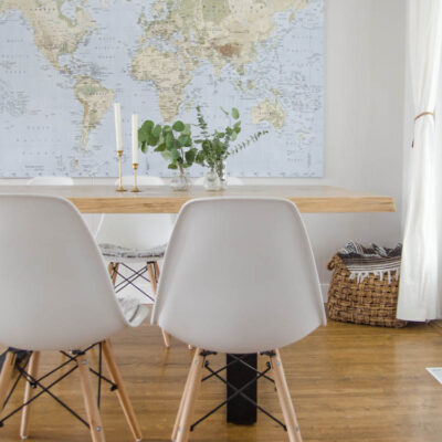 Eucalyptus for home decor