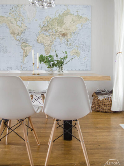Eucalyptus for home decor