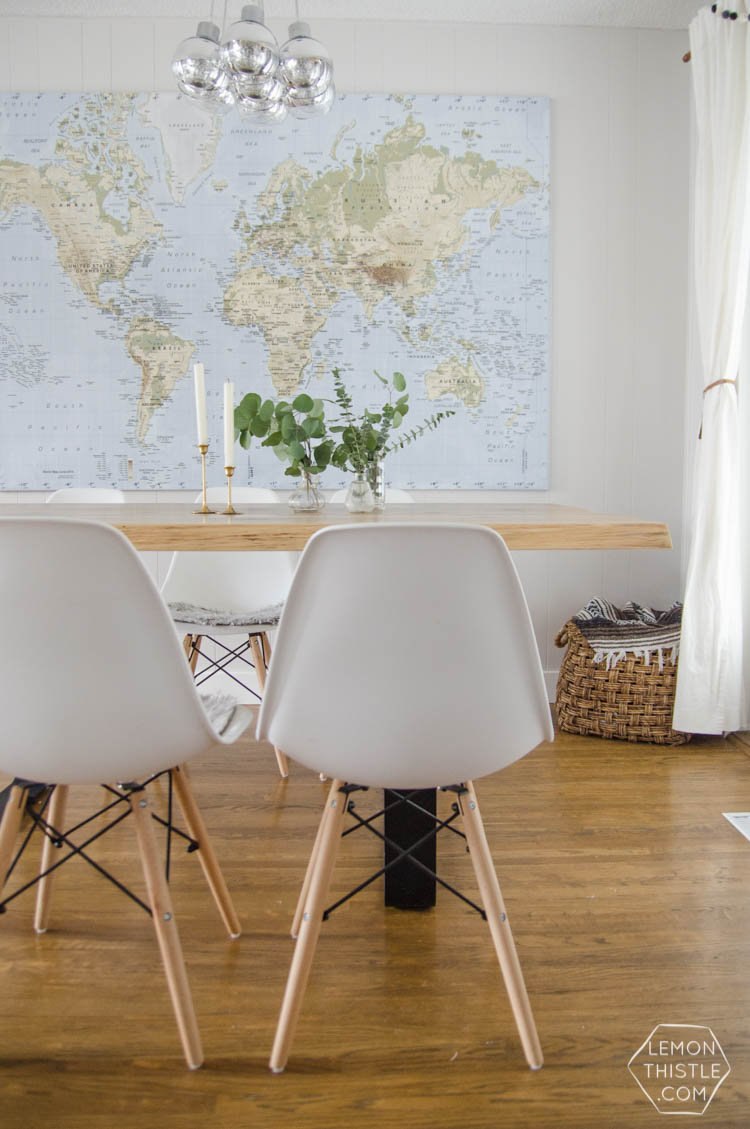 Eucalyptus for home decor