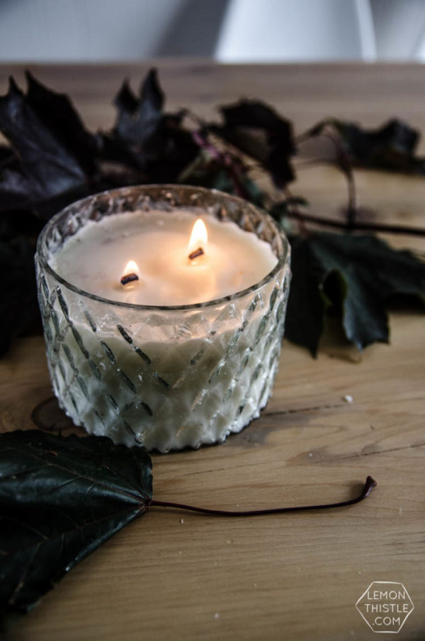 Chai Scented Wood Wick Candle (in the microwave!) Lemon Thistle