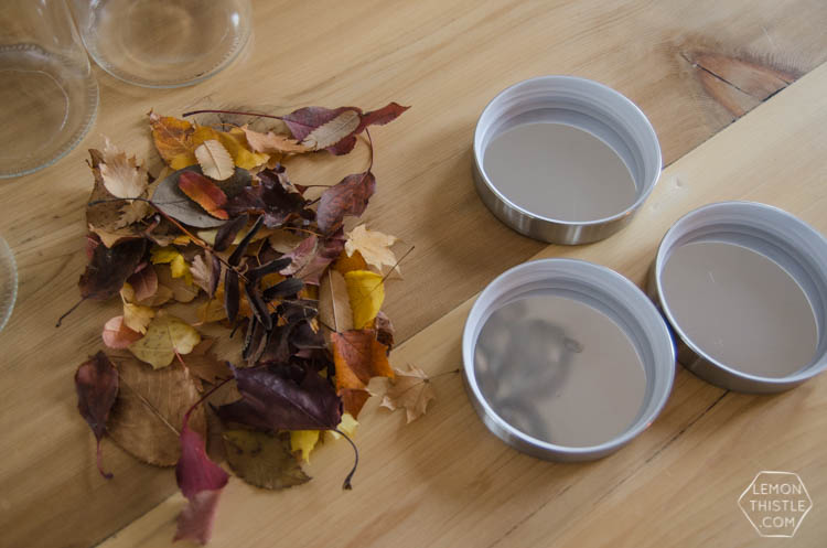 DIY Autumn Terrariums- I LOVE that there's no seasonal decor to store with these! Such a clever use of materials and pretty for fall decor.