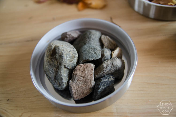 DIY Autumn Terrariums- I LOVE that there's no seasonal decor to store with these! Such a clever use of materials and pretty for fall decor.