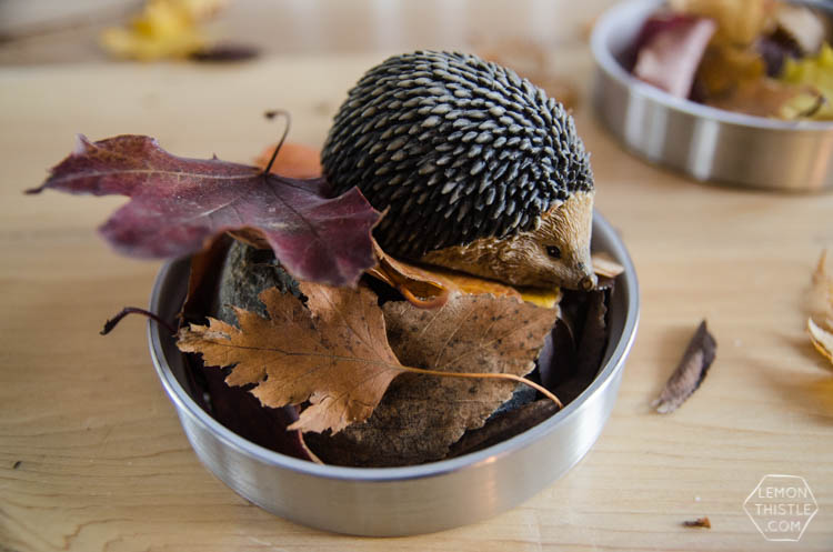 DIY Autumn Terrariums- I LOVE that there's no seasonal decor to store with these! Such a clever use of materials and pretty for fall decor.