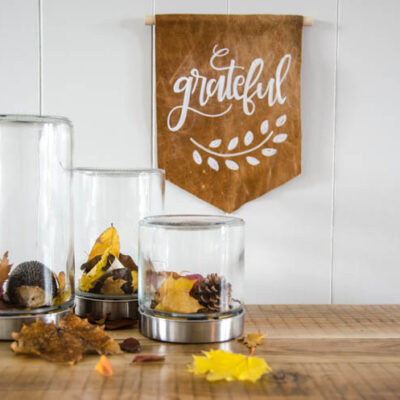 DIY Autumn Terrariums- I LOVE that there's no seasonal decor to store with these! Such a clever use of materials and pretty for fall decor.