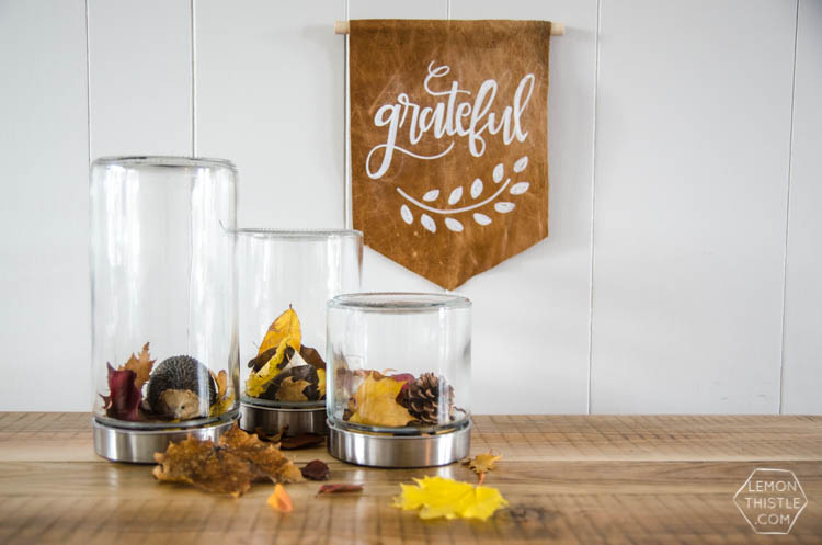 DIY Autumn Terrariums- I LOVE that there's no seasonal decor to store with these! Such a clever use of materials and pretty for fall decor.