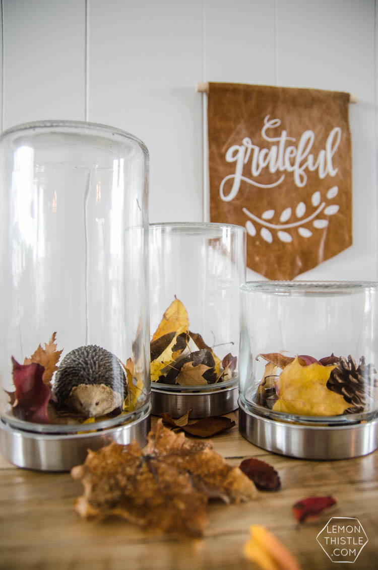 DIY Autumn Terrariums- I LOVE that there's no seasonal decor to store with these! Such a clever use of materials and pretty for fall decor.