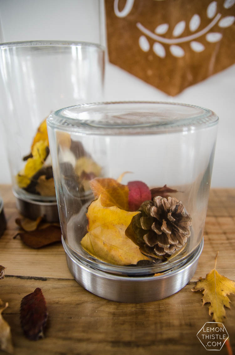 DIY Autumn Terrariums- I LOVE that there's no seasonal decor to store with these! Such a clever use of materials and pretty for fall decor.