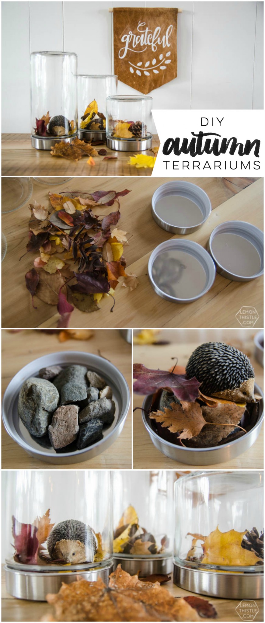 DIY Autumn Terrariums- I LOVE that there's no seasonal decor to store with these! Such a clever use of materials and pretty for fall decor.