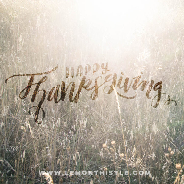 Happy Thanksgiving! 