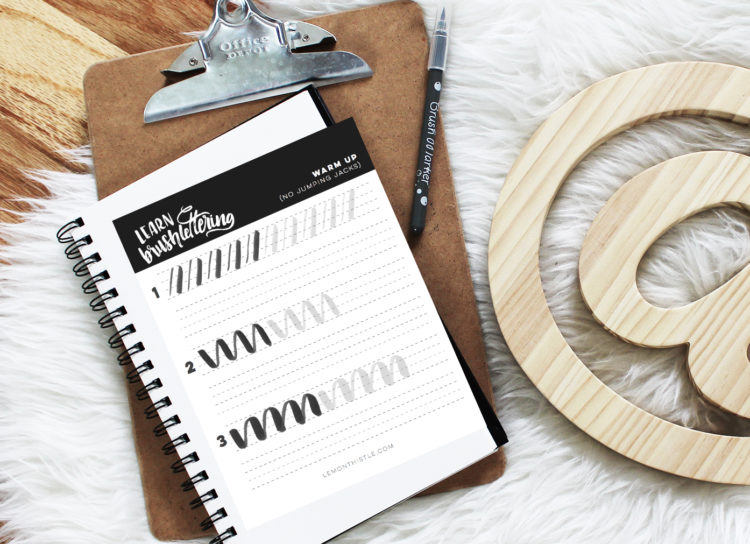 LOVE this Idea! Learn brush lettering online. That workbook looks amazing.