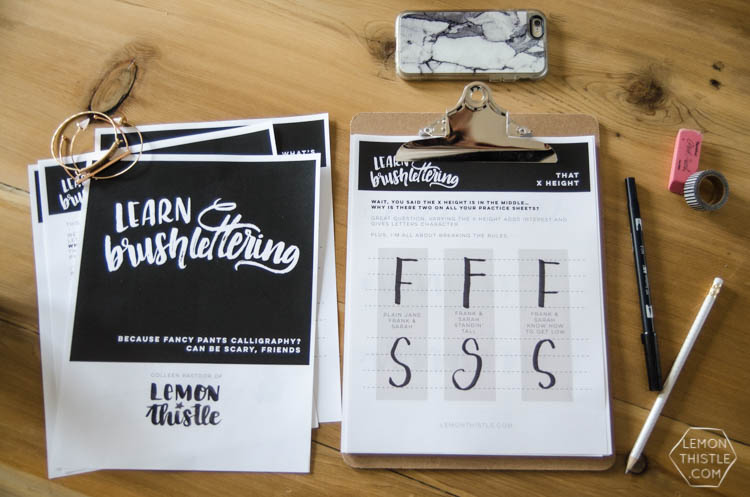 Love this idea! A printable workbook with practice sheets to learn brush lettering at your own pace