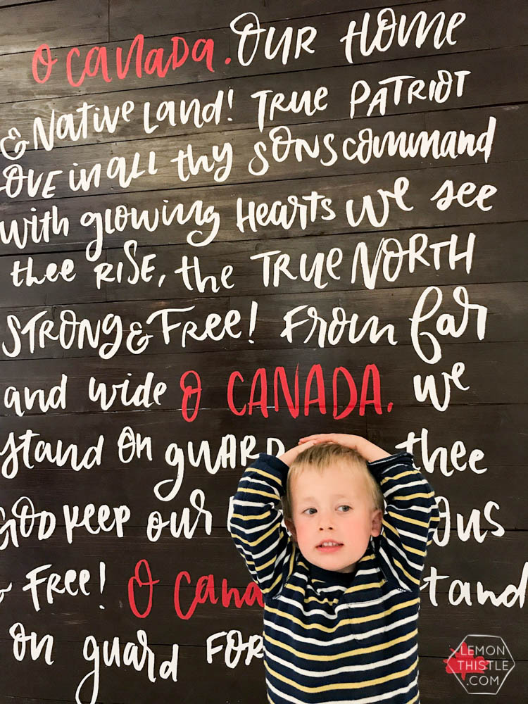 Canada 150 Art Installation