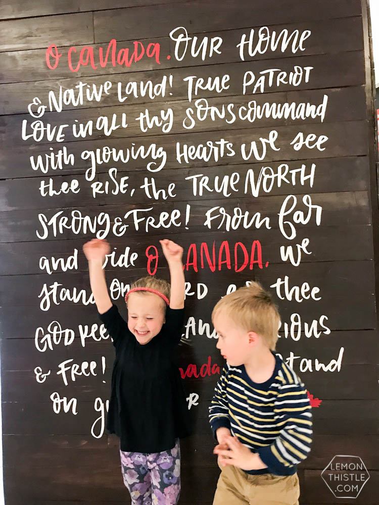 Canada 150 Art Installation