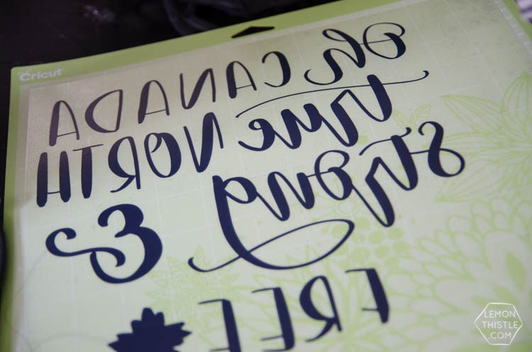 DIY Canadian Throw Pillow with free hand lettered design!