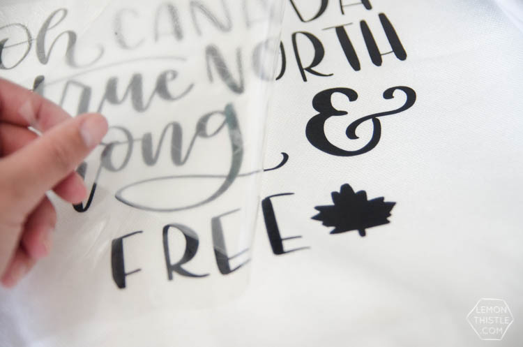 DIY Canadian Throw Pillow with free hand lettered design!