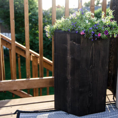 DIY Hexagon planter from one board of 2x8!