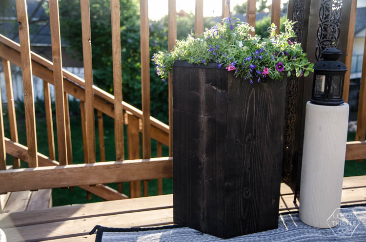 DIY Hexagon planter from one board of 2x8!