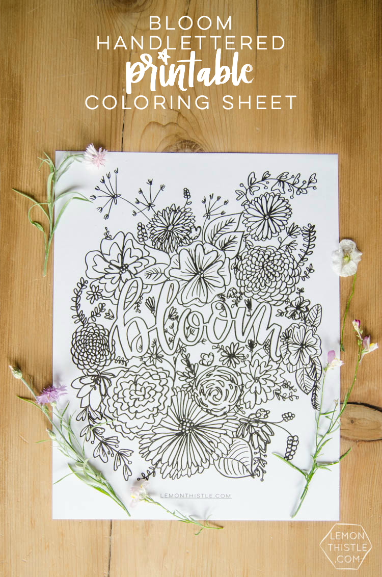 Love this free printable coloring sheet! Plus the hand lettering and floral illustrations are rad. Perfect for summer